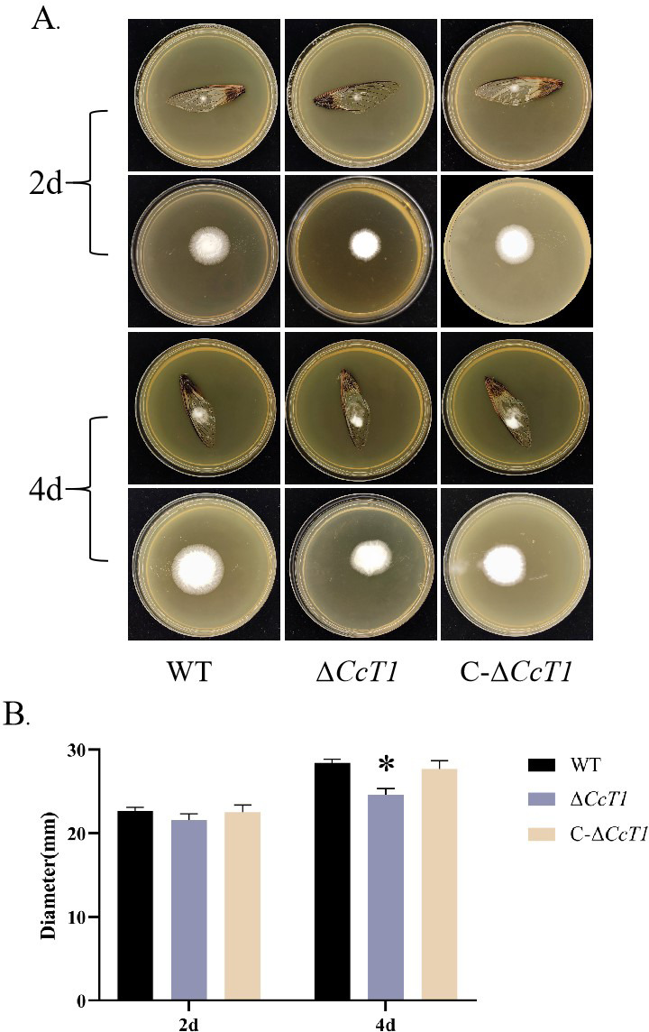 Fig 9