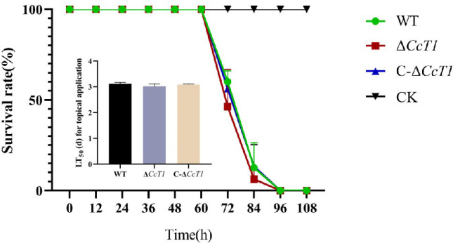 Fig 10