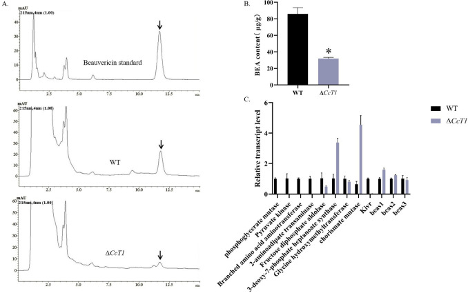 Fig 11