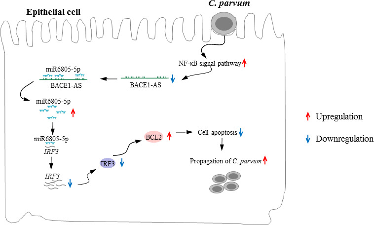 Fig 10
