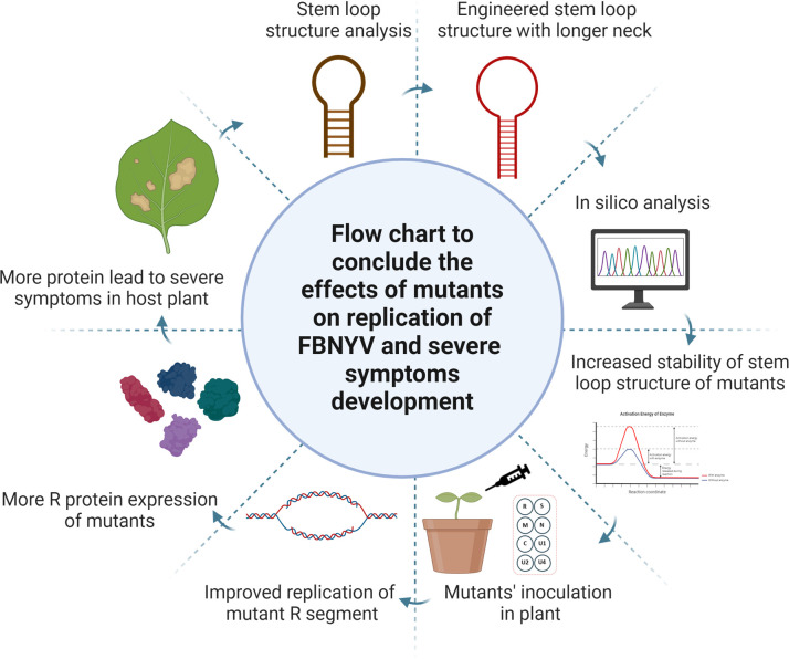 Fig 10