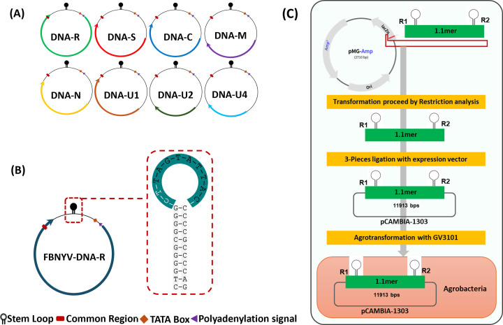 Fig 11