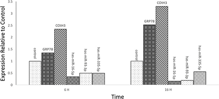 Fig 7
