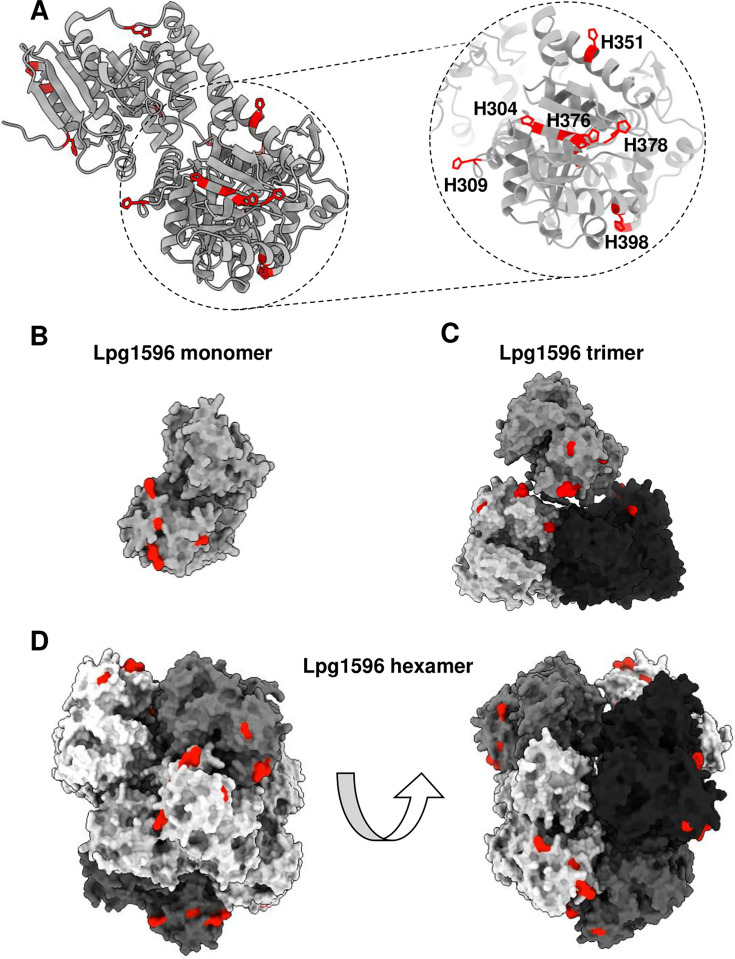 Fig 3