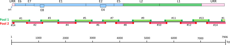 Fig 1