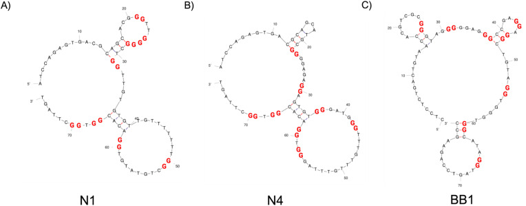Fig. 3