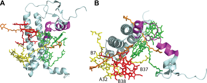 Figure 6