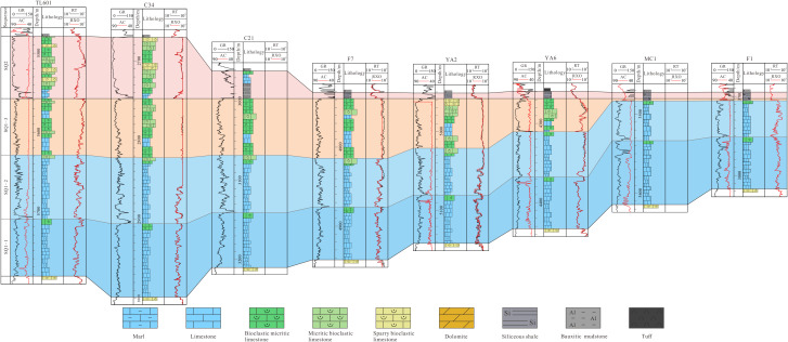 Fig 6