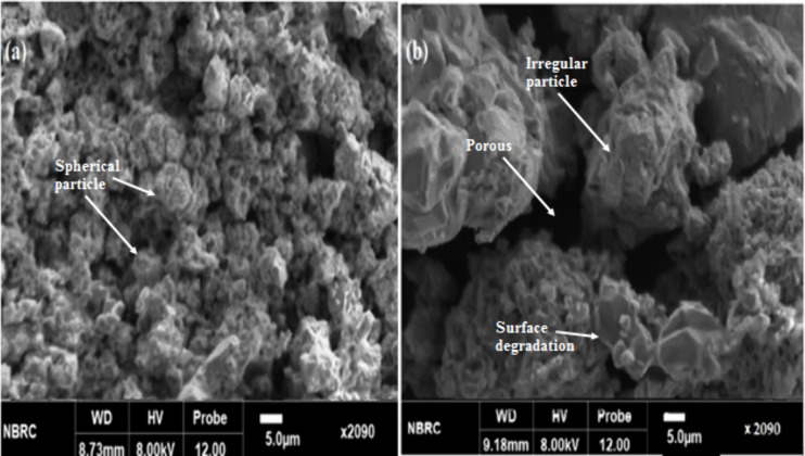 Fig 12