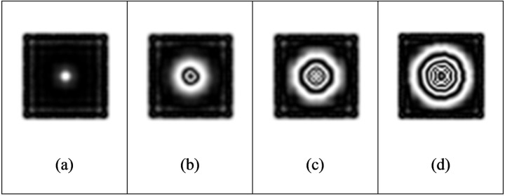 Fig 16