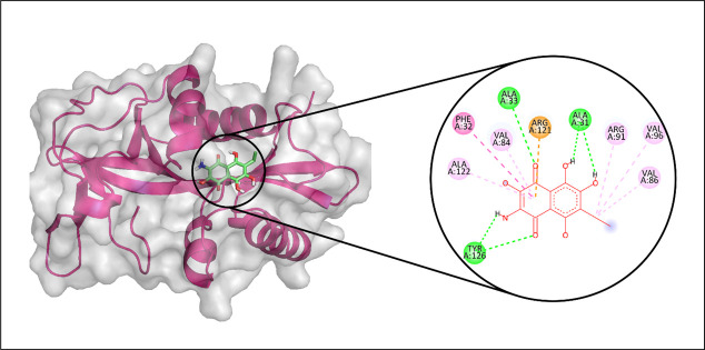 Fig 2