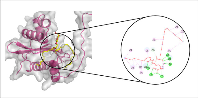 Fig 5