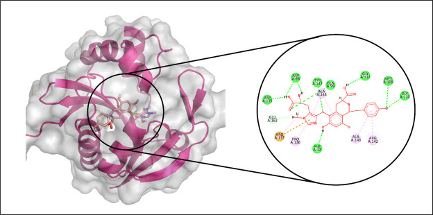 Fig 8