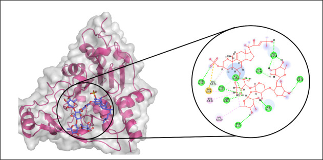 Fig 10
