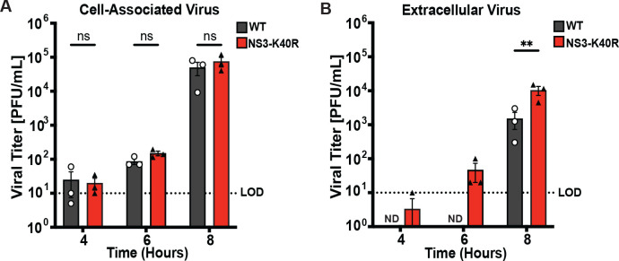 Fig 4