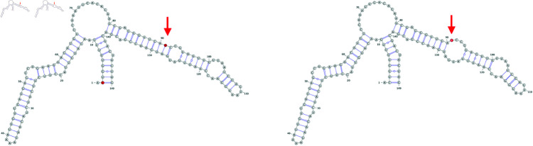Fig 12