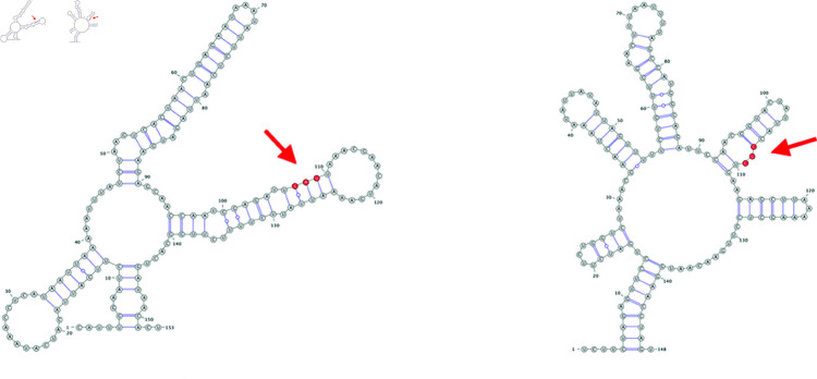 Fig 13