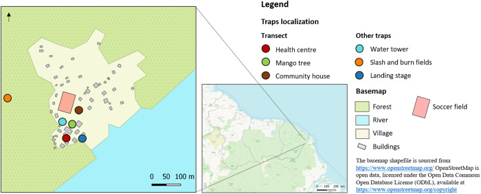 Fig 1