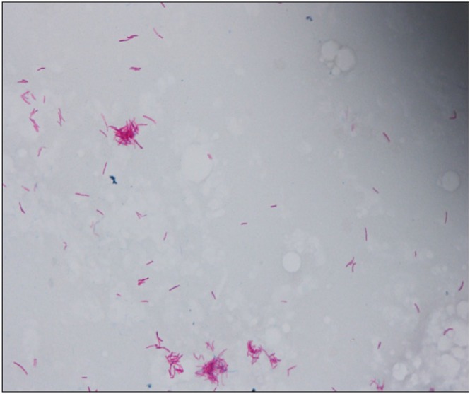 FIGURE 3