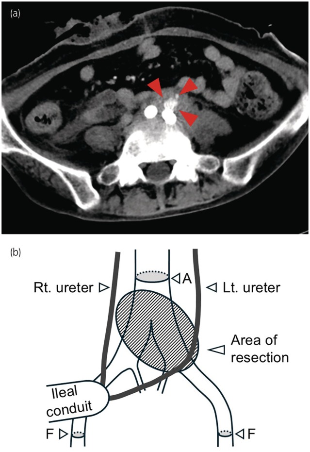 Fig. 2