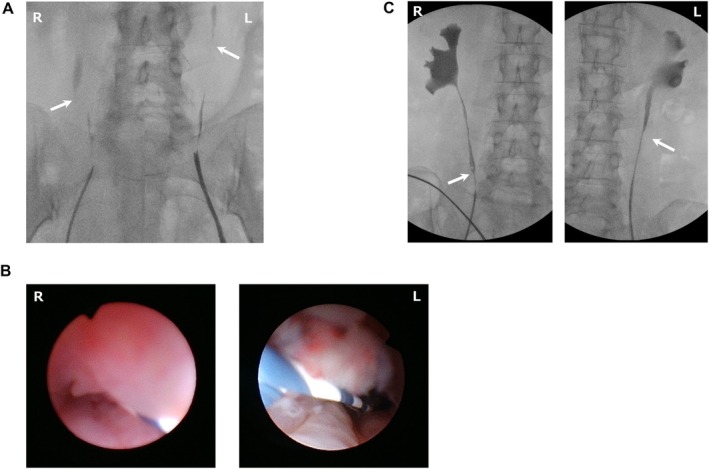 FIGURE 2