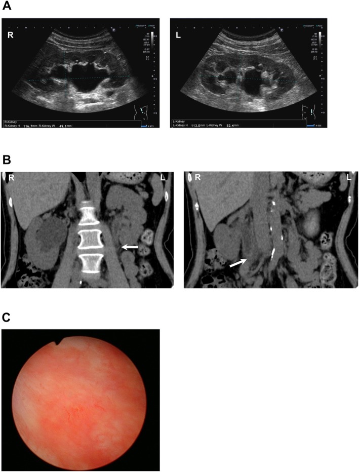FIGURE 1