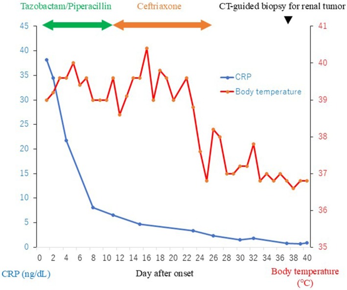 FIGURE 2