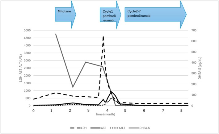 FIGURE 3
