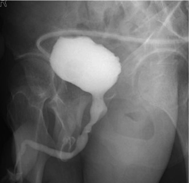 FIGURE 3