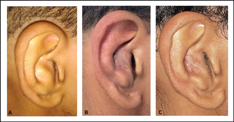 Fig. 8