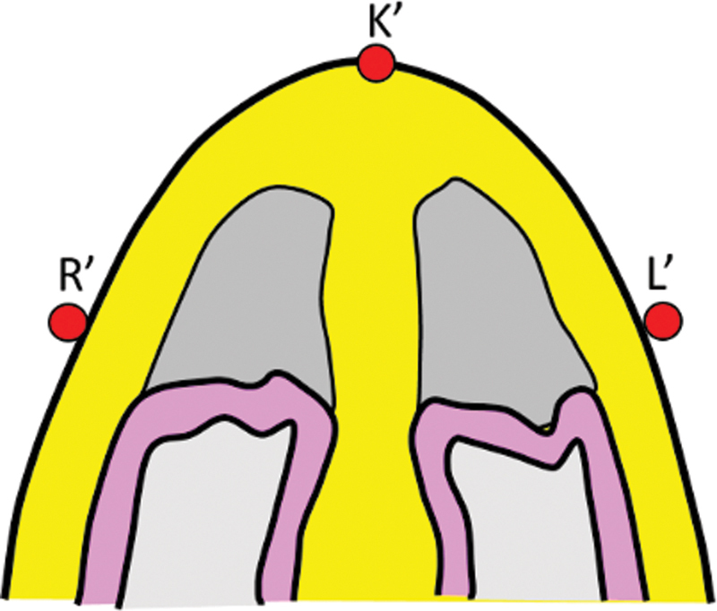 Fig. 9