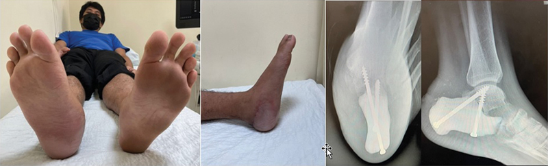 Fig. 8