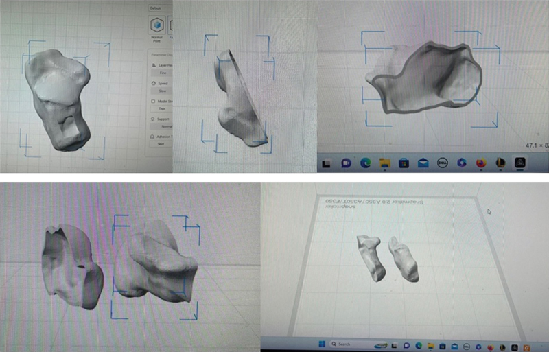 Fig. 3