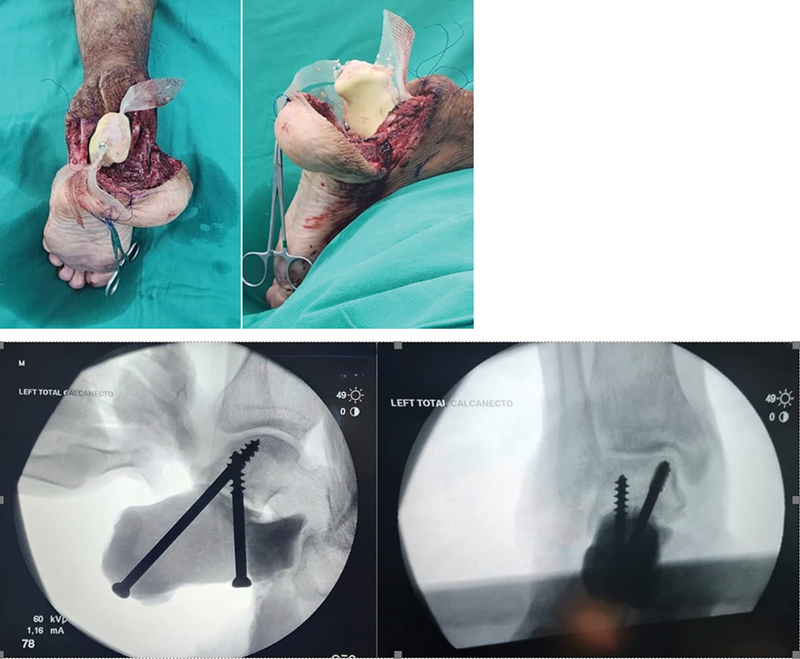 Fig. 7