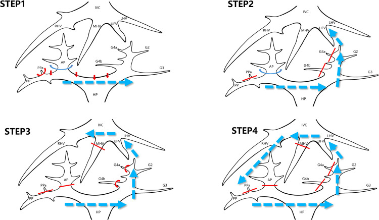Figure 3