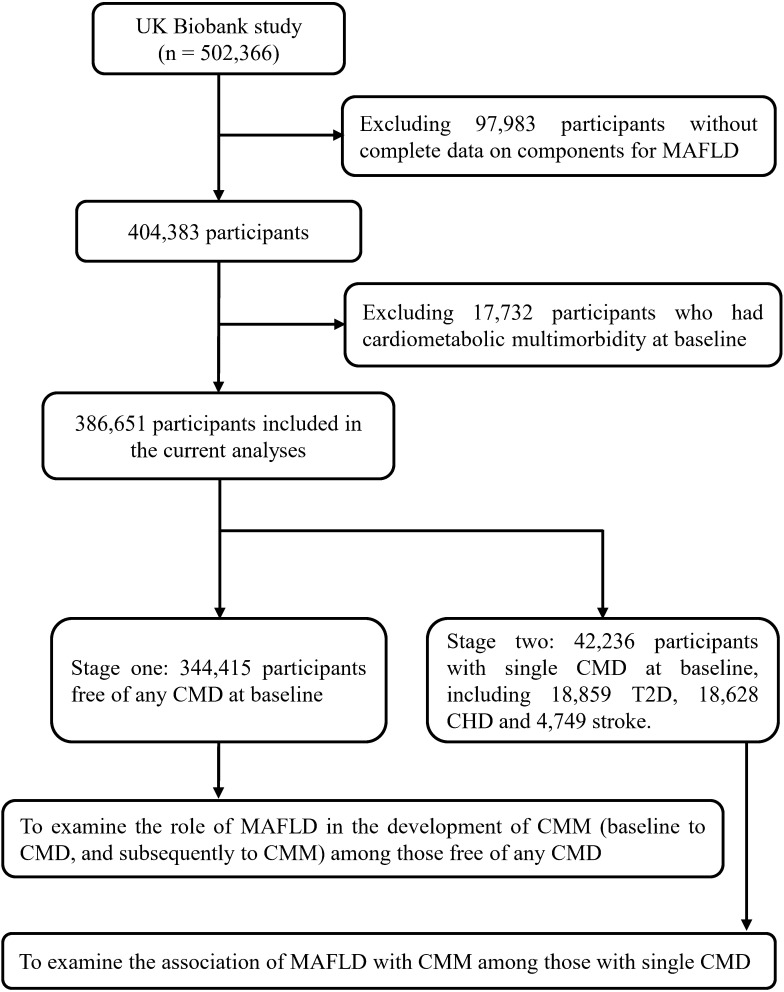 Figure 1