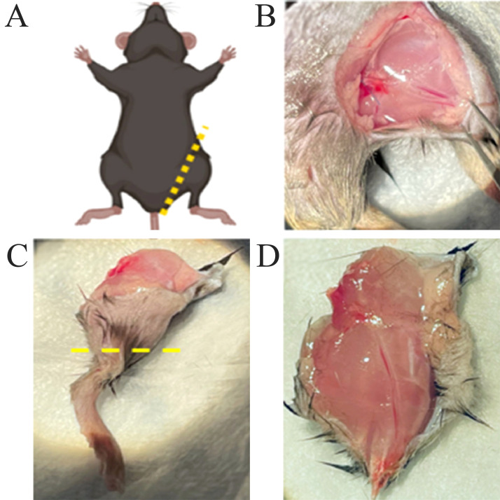 Figure 1