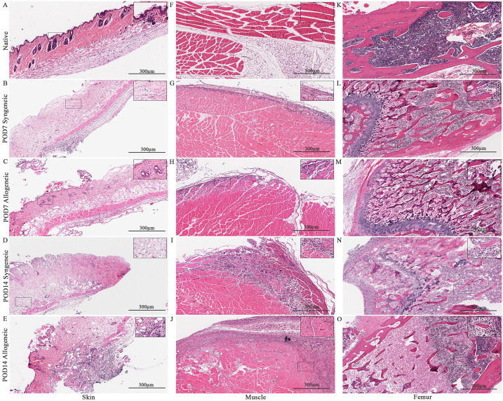 Figure 4