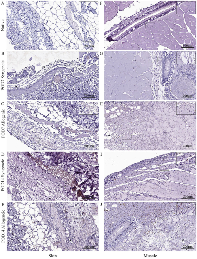 Figure 10