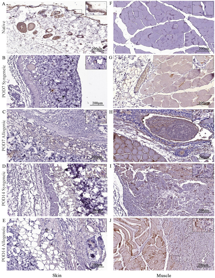 Figure 12