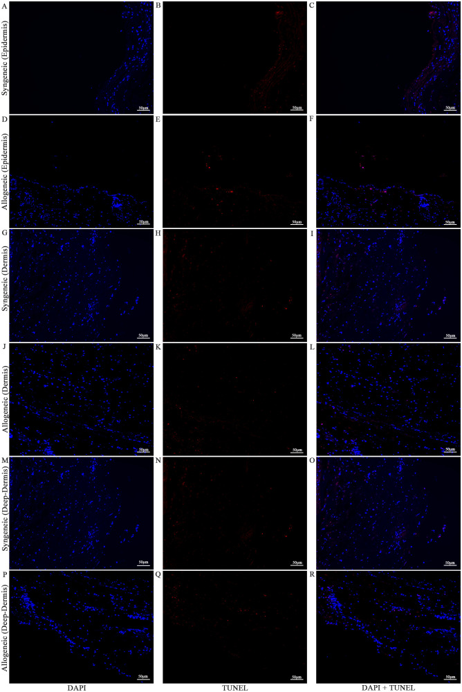 Figure 13
