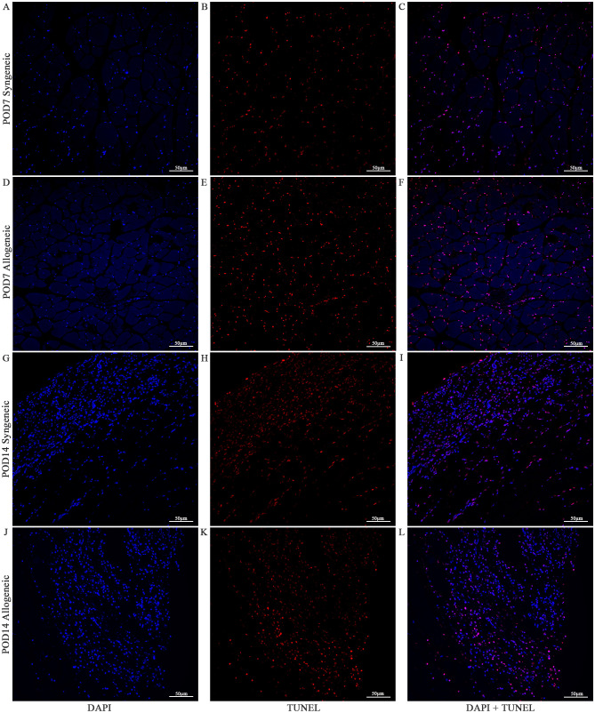 Figure 15