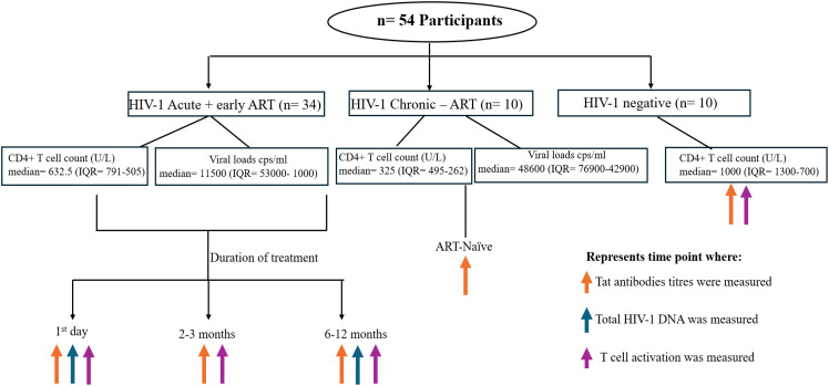 Figure 1