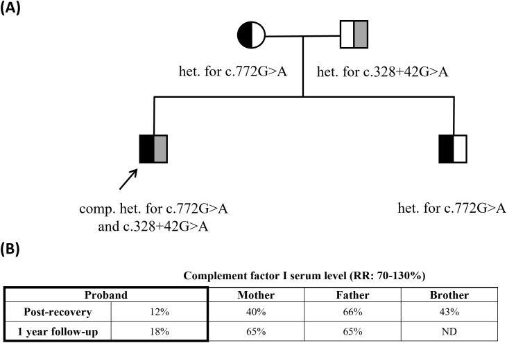 Figure 3
