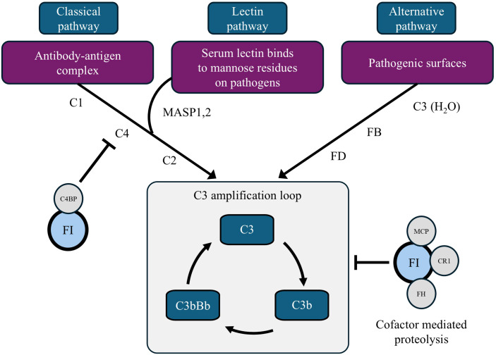 Figure 4