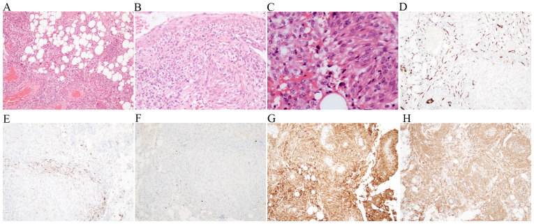 Figure 2