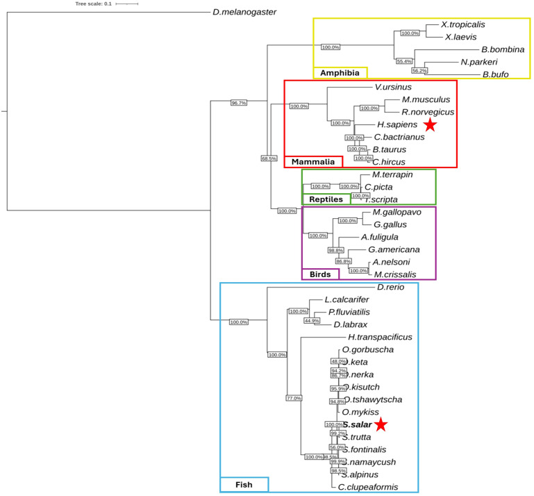 Figure 2