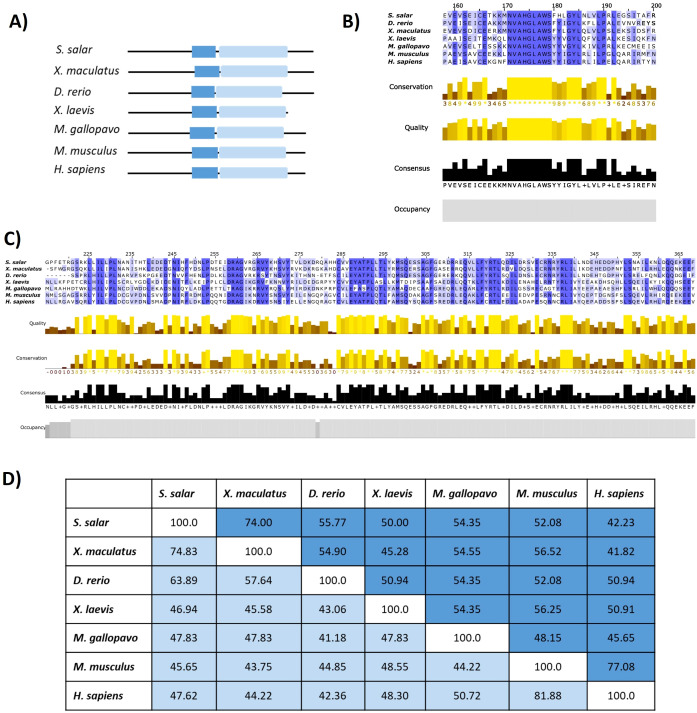 Figure 3