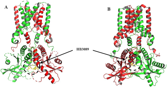 Figure 5