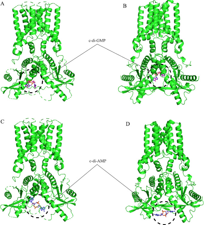 Figure 6